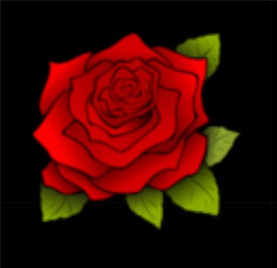 Pure Harlem Rose SweatShirt